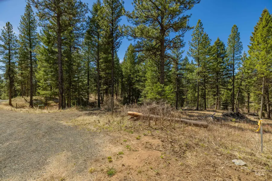 8 York Street, McCall, ID 83638 - #3