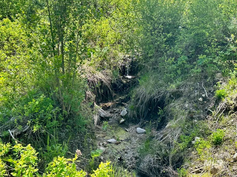 L16 B1 Shaw Gulch Road, Idaho City, ID 83631 - #3