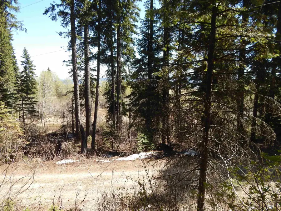 1601 Bear Trail Loop, Donnelly, ID 83615 - #2