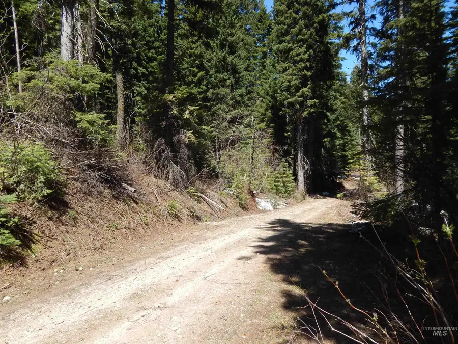 1601 Bear Trail Loop, Donnelly, ID 83615 - #3