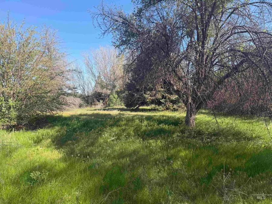495 Illinois Street, Bliss, ID 83314 - #3