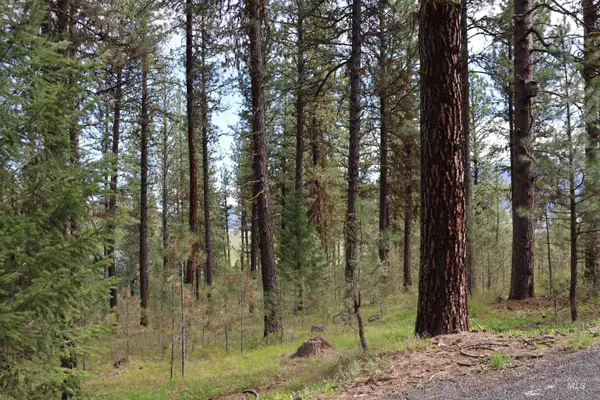 TBD Hot Springs Road, New Meadows, ID 83654