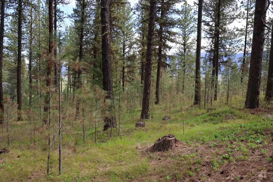 TBD Hot Springs Road, New Meadows, ID 83654 - #3
