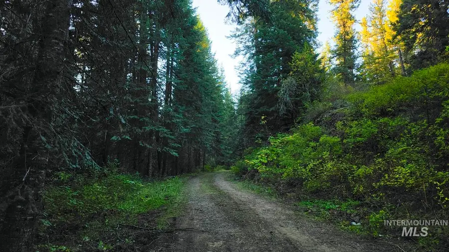 5856 Lacey Meadows Rd, Weippe, ID 83553 - #3