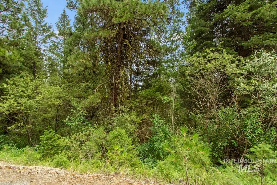 517 Susan Road, Cascade, ID 83611 - #3