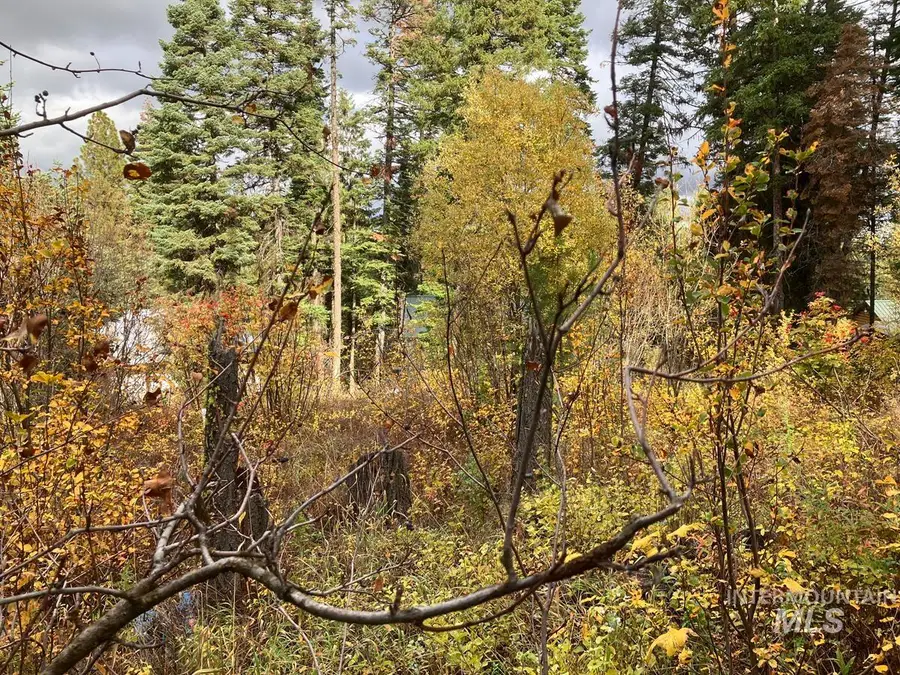 534 Brenda Drive, Cascade, ID 83611 - #2