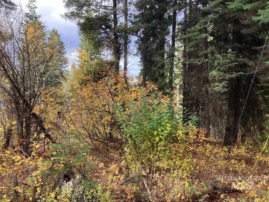 534 Brenda Drive, Cascade, ID 83611 - #3