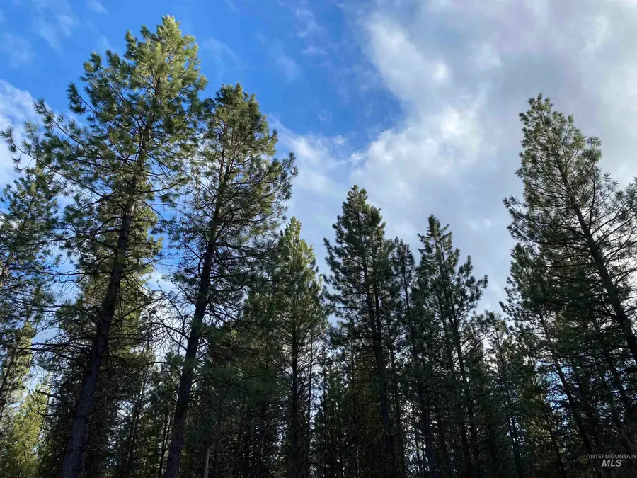 12 Woods Ln, Idaho City, ID 83631 - #2