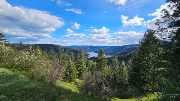 TBD Lynx Lane, Lenore, ID 83541