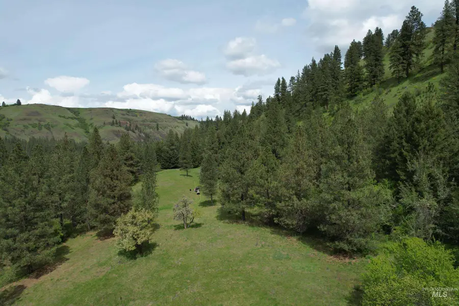 1017 Tiger Drive, Kendrick, ID 83537 - #3