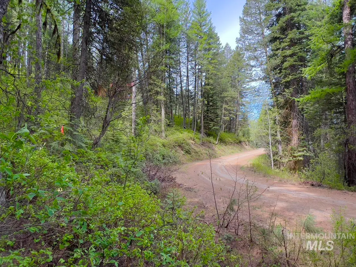45 Landale Lane, Cascade, ID 83611 - #1