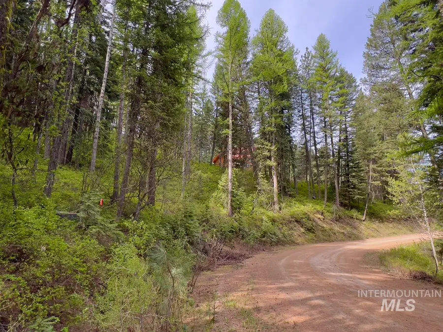 45 Landale Lane, Cascade, ID 83611 - #3
