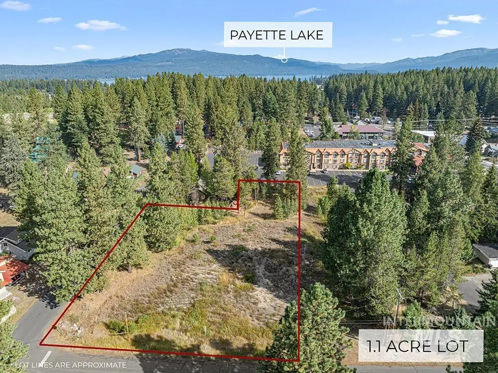 303 Mcbride St, McCall, ID 83638 - #1