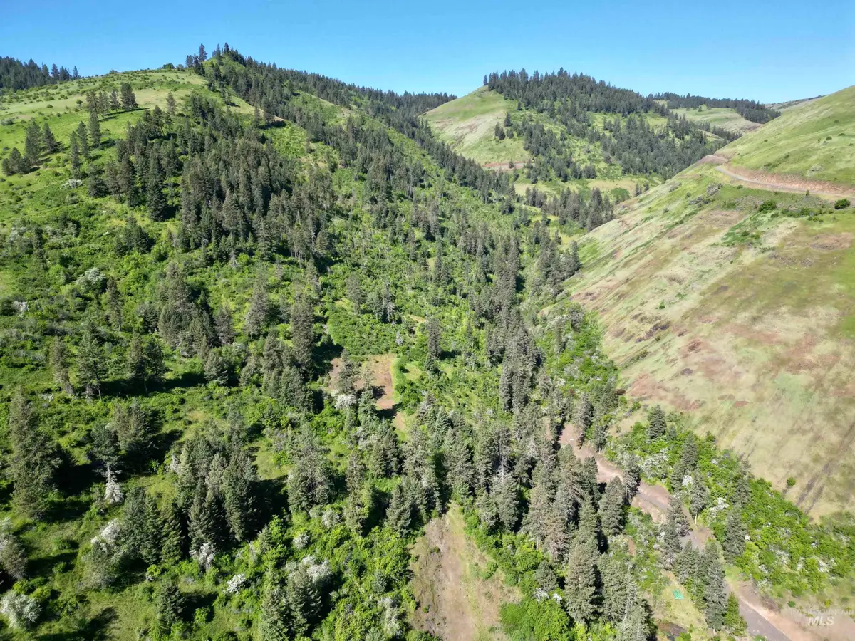 Lots 4 & 5 Hidden Canyon Sub-div, Kooskia, ID 83539 - #1