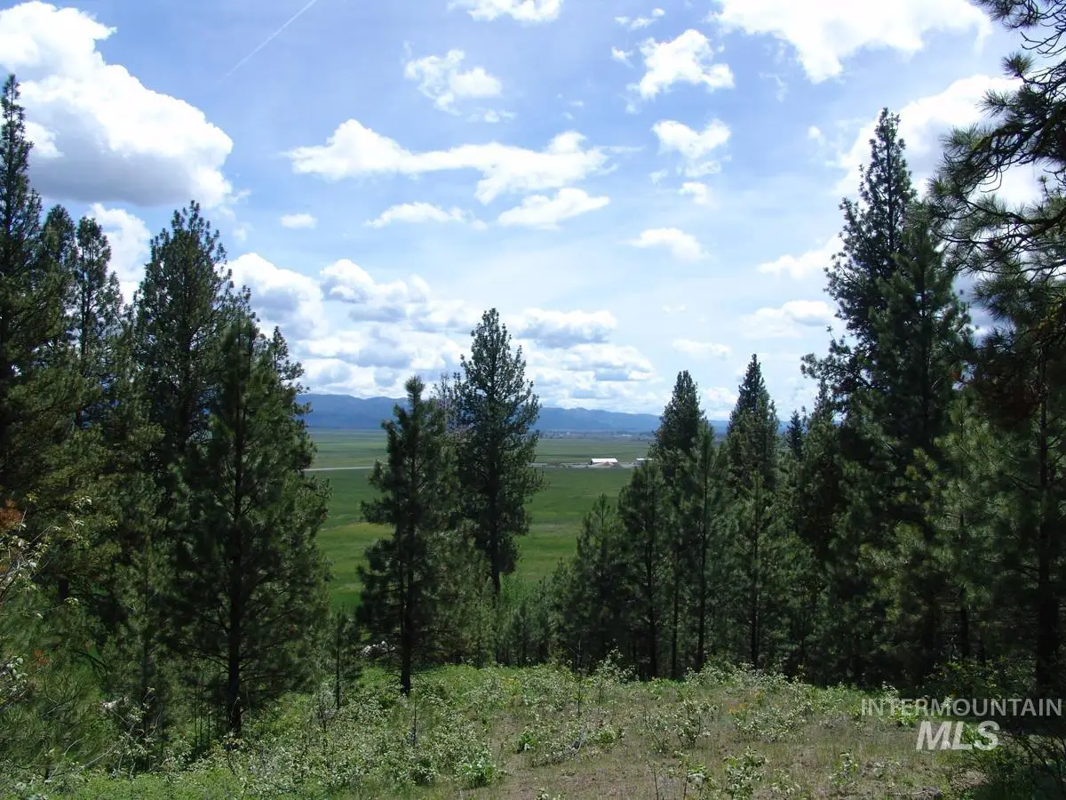 28 Rehn Loop, Cascade, ID 83611 - #1