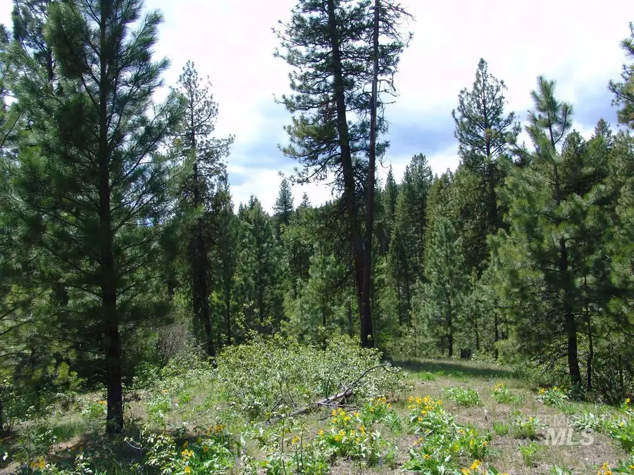 28 Rehn Loop, Cascade, ID 83611 - #3