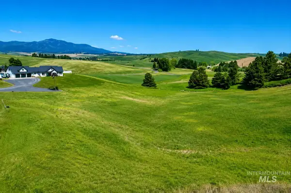 000 Capybara Lane, Moscow, ID 83843