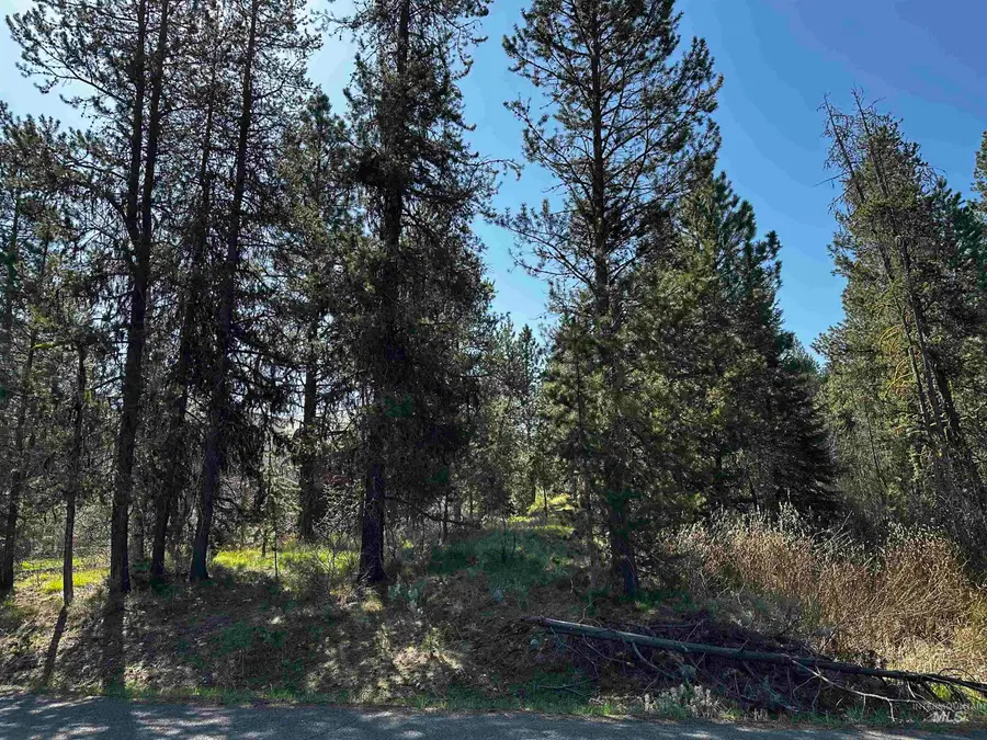 237 Moonridge Dr, McCall, ID 83638 - #2