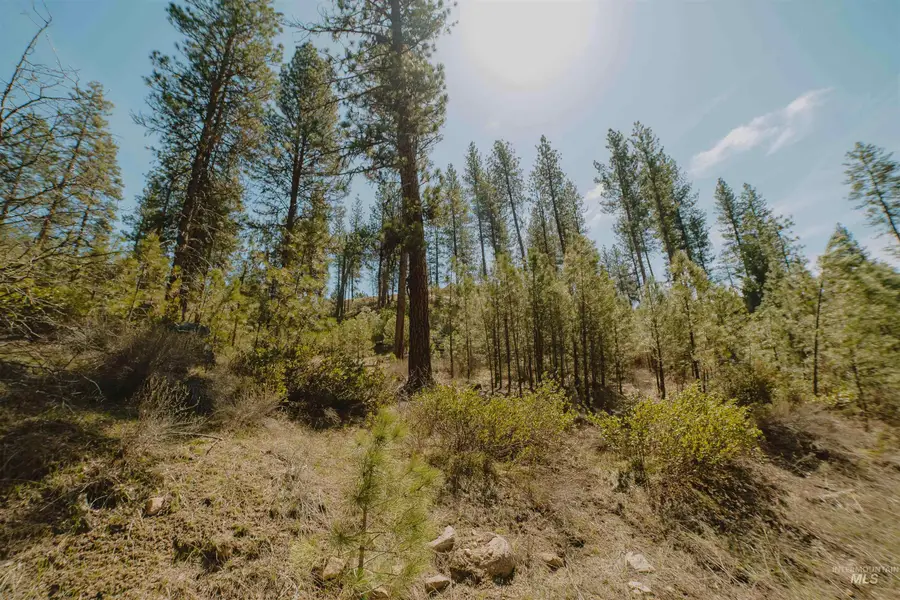 Lot 13, Boise, ID 83716 - #2