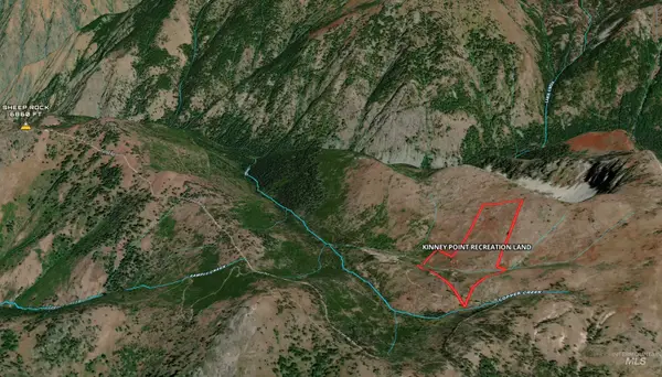 0 Nat'l Forest Development Rd 493, Council, ID 83612