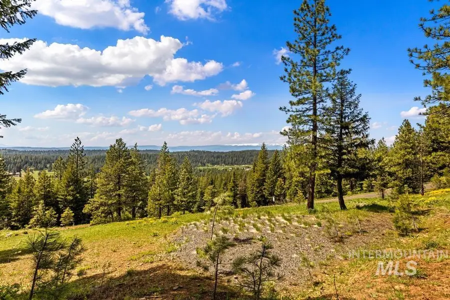 L14 Harrington Place, McCall, ID 83638 - #2