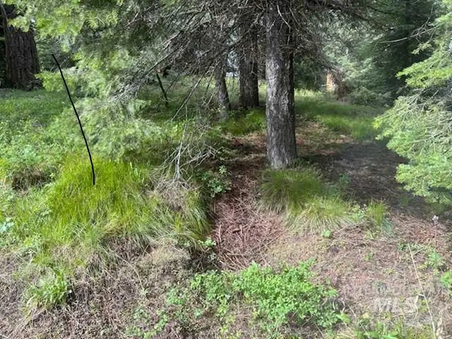 20 Andy Lane, Donnelly, ID 83615 - #2