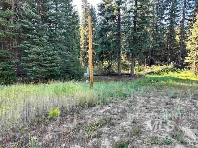 20 Andy Lane, Donnelly, ID 83615 - #3