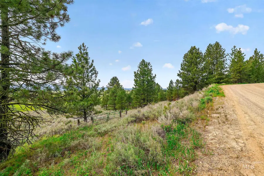 13301 Finlandia, McCall, ID 83638 - #3