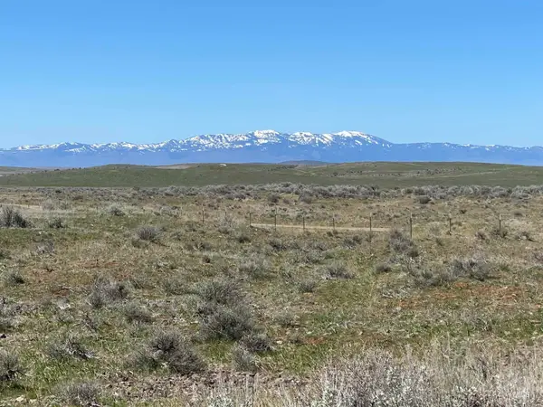 TBD Indian Valley Rd Parcel 3, Indian Valley, ID 83632
