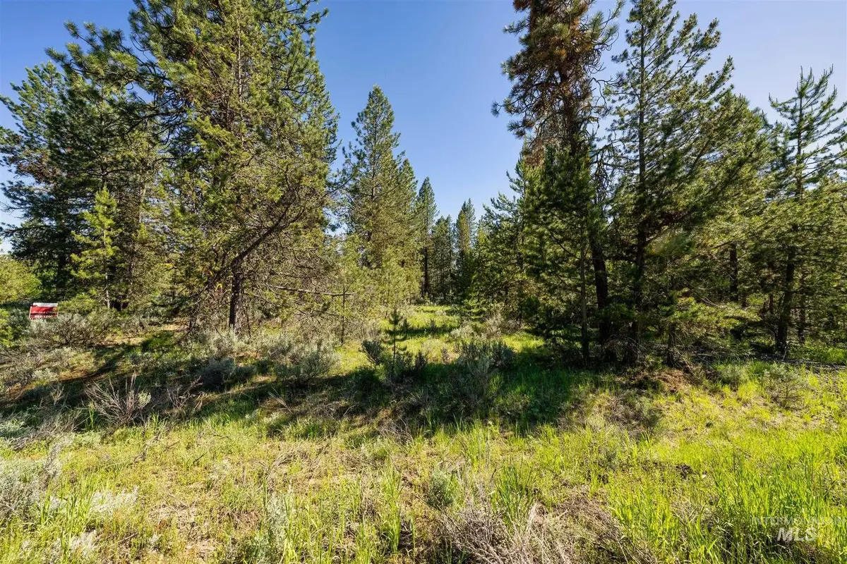 110 Fawnlilly, McCall, ID 83638 - #1
