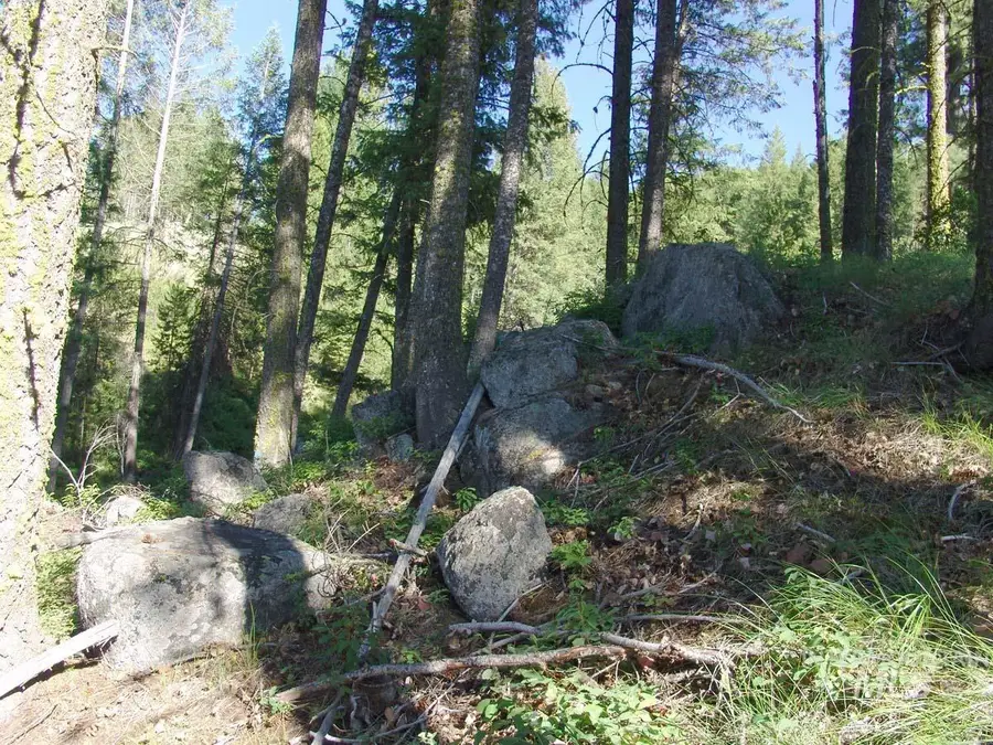 L1 B2 San Ignacio Way, Cascade, ID 83611 - #3