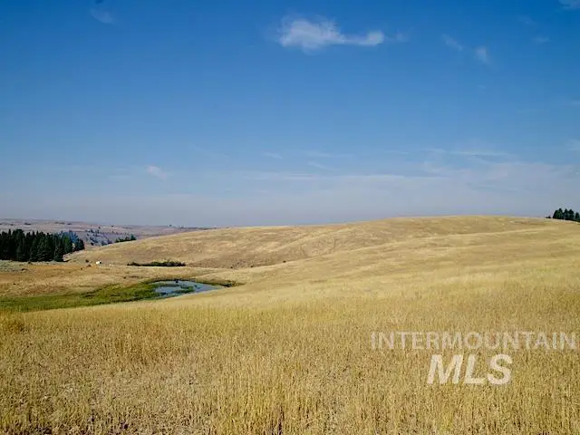 TBD Ditch Creek Road, Council, ID 83612 - #3