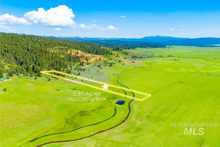 TAX LOT 6&7 Finlandia, McCall, ID 83638 - #3