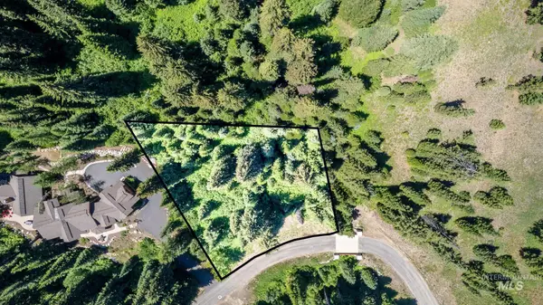 151 Pinnacle Court, Donnelly, ID 83615