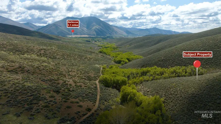 TBD Lees Gulch Rd, Bellevue, ID 83313 - #3