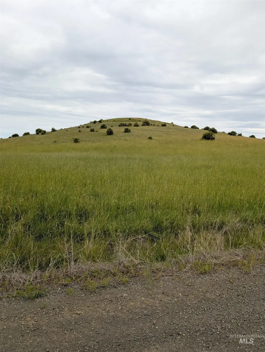 TBD Windrow Lane & Stillwater Road, Grangeville, ID 83539 - #3