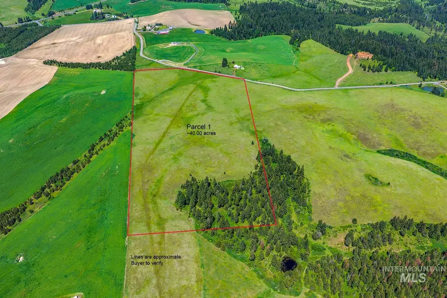 TBD Johnson Rd Parcel #1, Deary, ID 83823 - #2