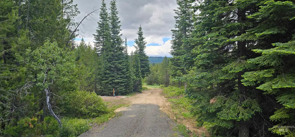 23 Sawtooth Loop, Cascade, ID 83611 - #1