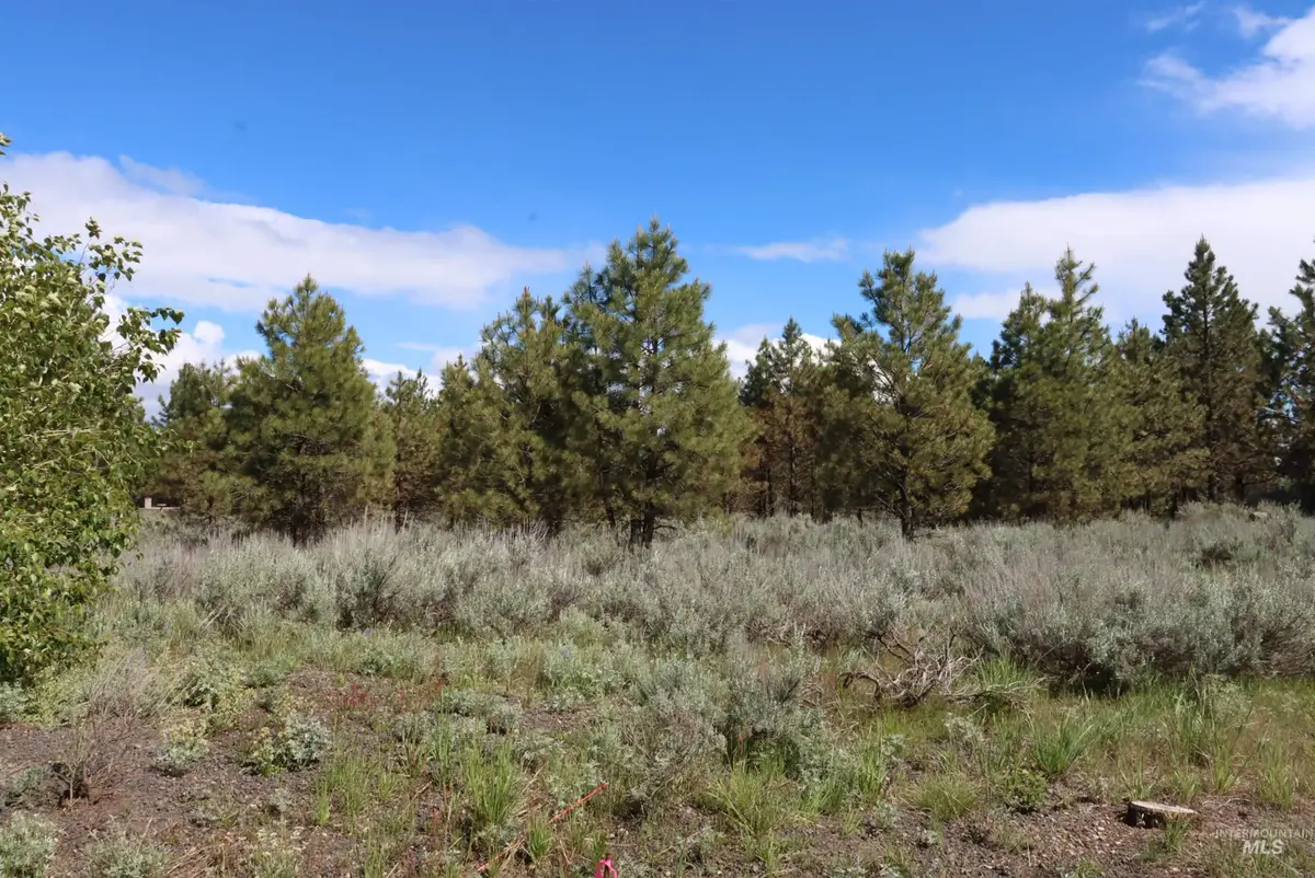 7 Bitterroot Ct, McCall, ID 83638 - #1