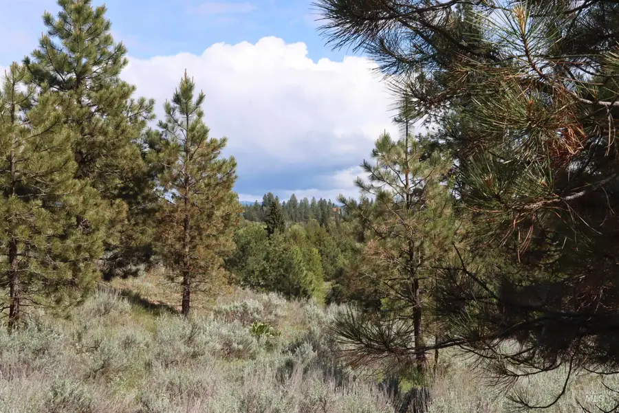 7 Bitterroot Ct, McCall, ID 83638 - #2