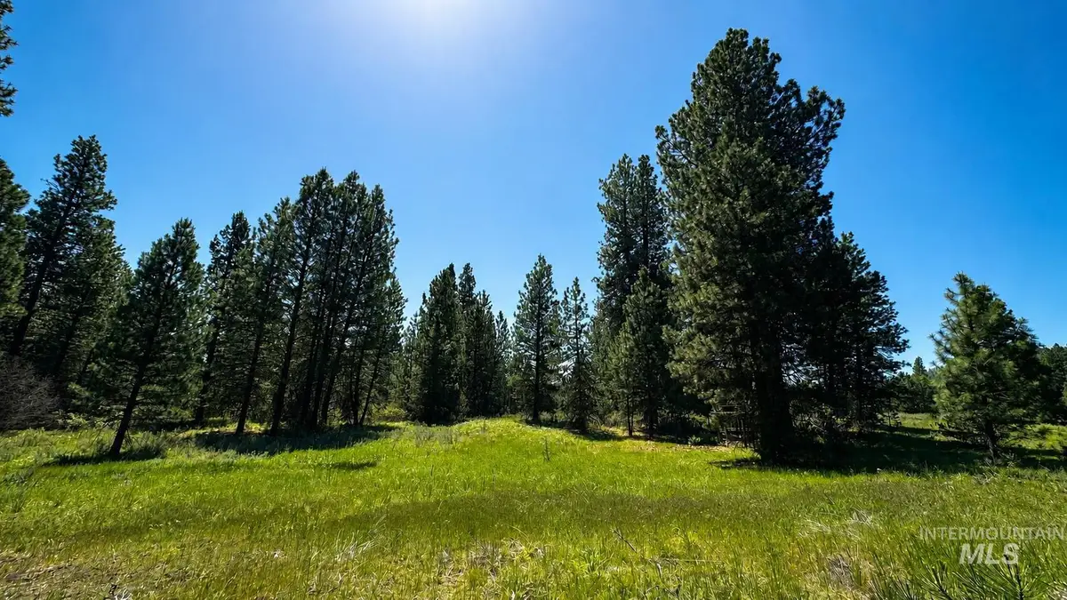 TBD Nelsen Ave, Idaho City, ID 83631 - #1