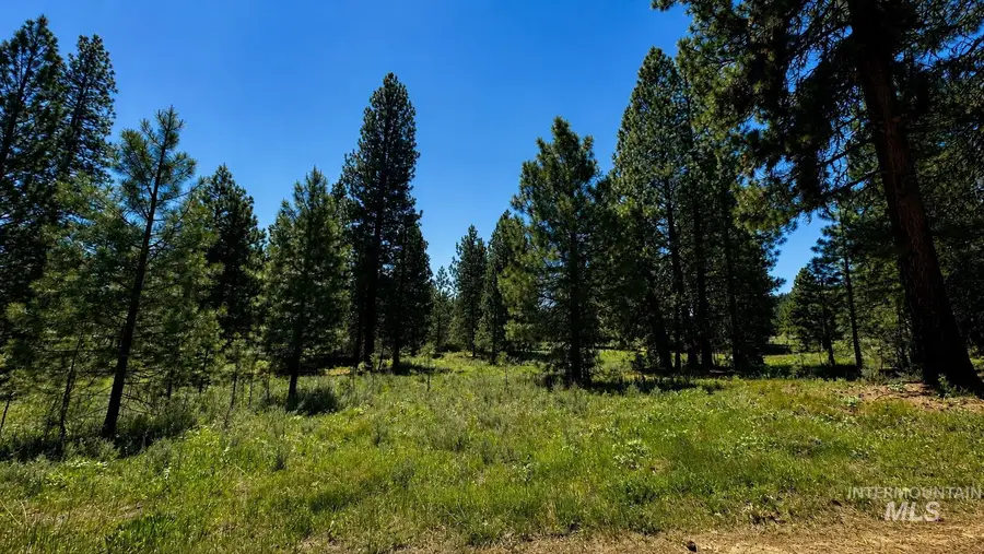 TBD Nelsen Ave, Idaho City, ID 83631 - #3