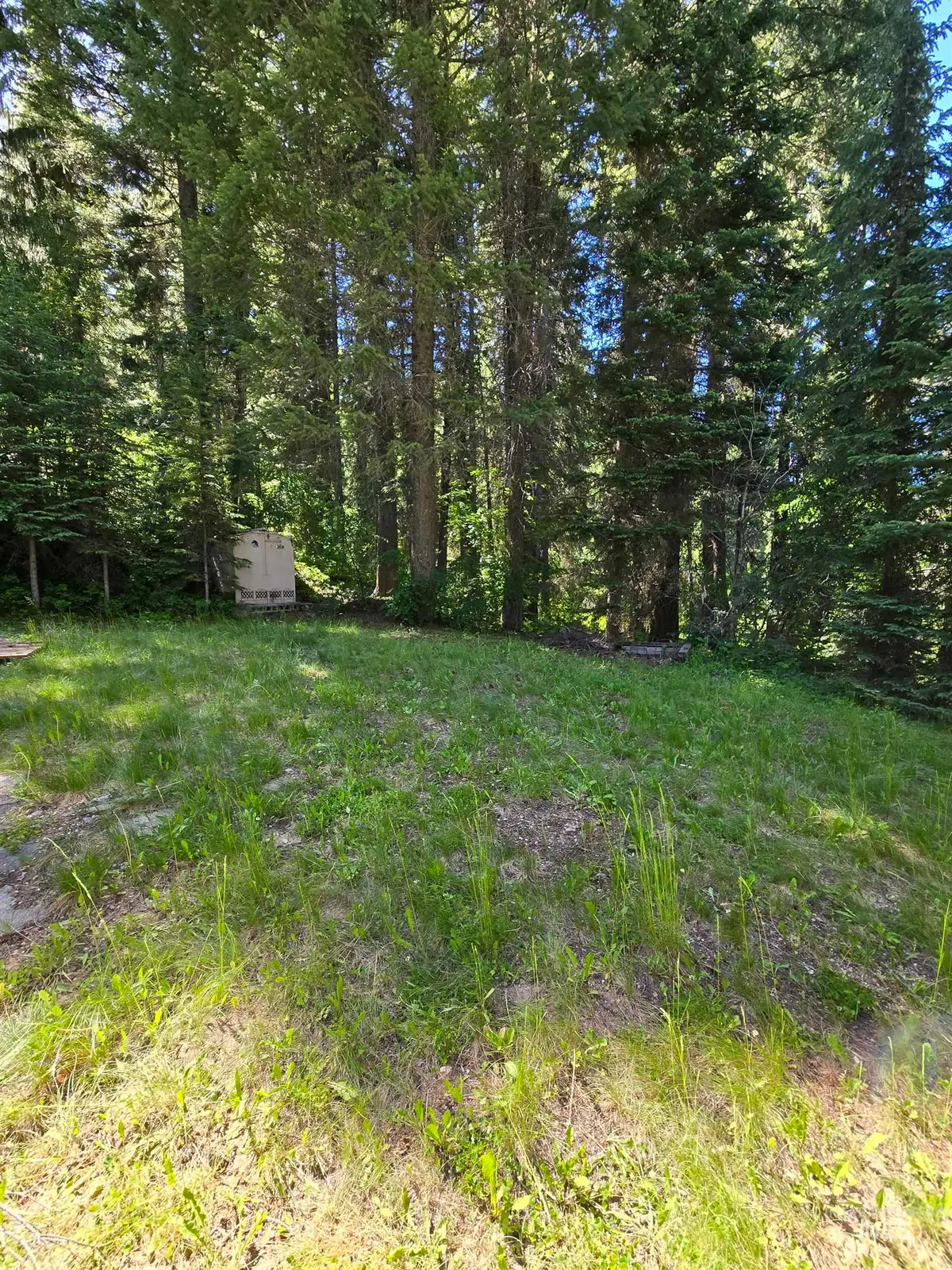 5 Black Bear, Cascade, ID 83611 - #1