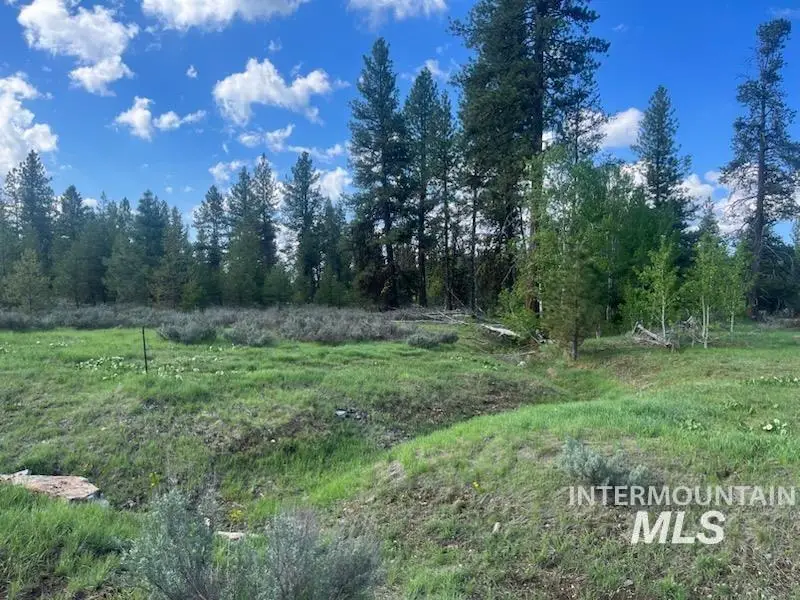 29 Fawnlilly Drive, McCall, ID 83638 - #1