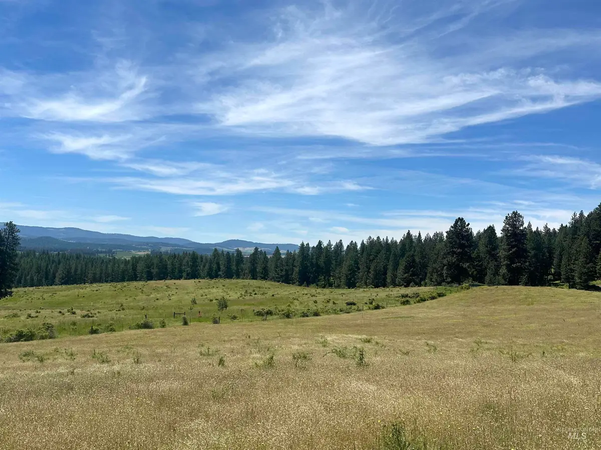 TBD 10 +/- AC Gold Hill, Princeton, ID 83857 - #1