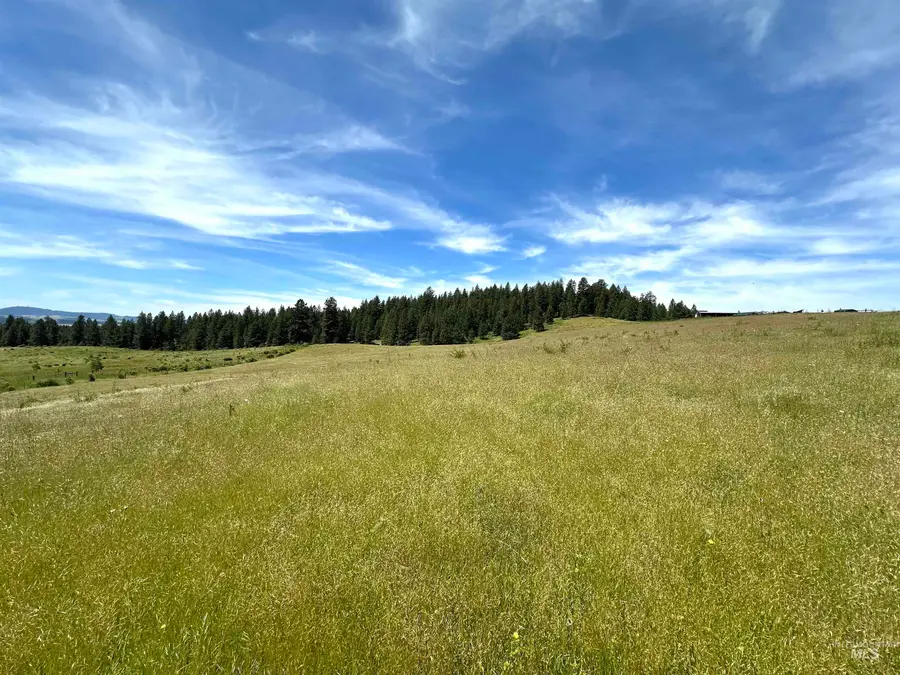 TBD 10 +/- AC Gold Hill, Princeton, ID 83857 - #3