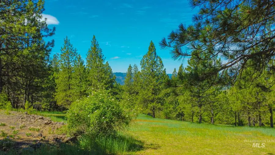 783 Wells Lane, Orofino, ID 83544 - #3