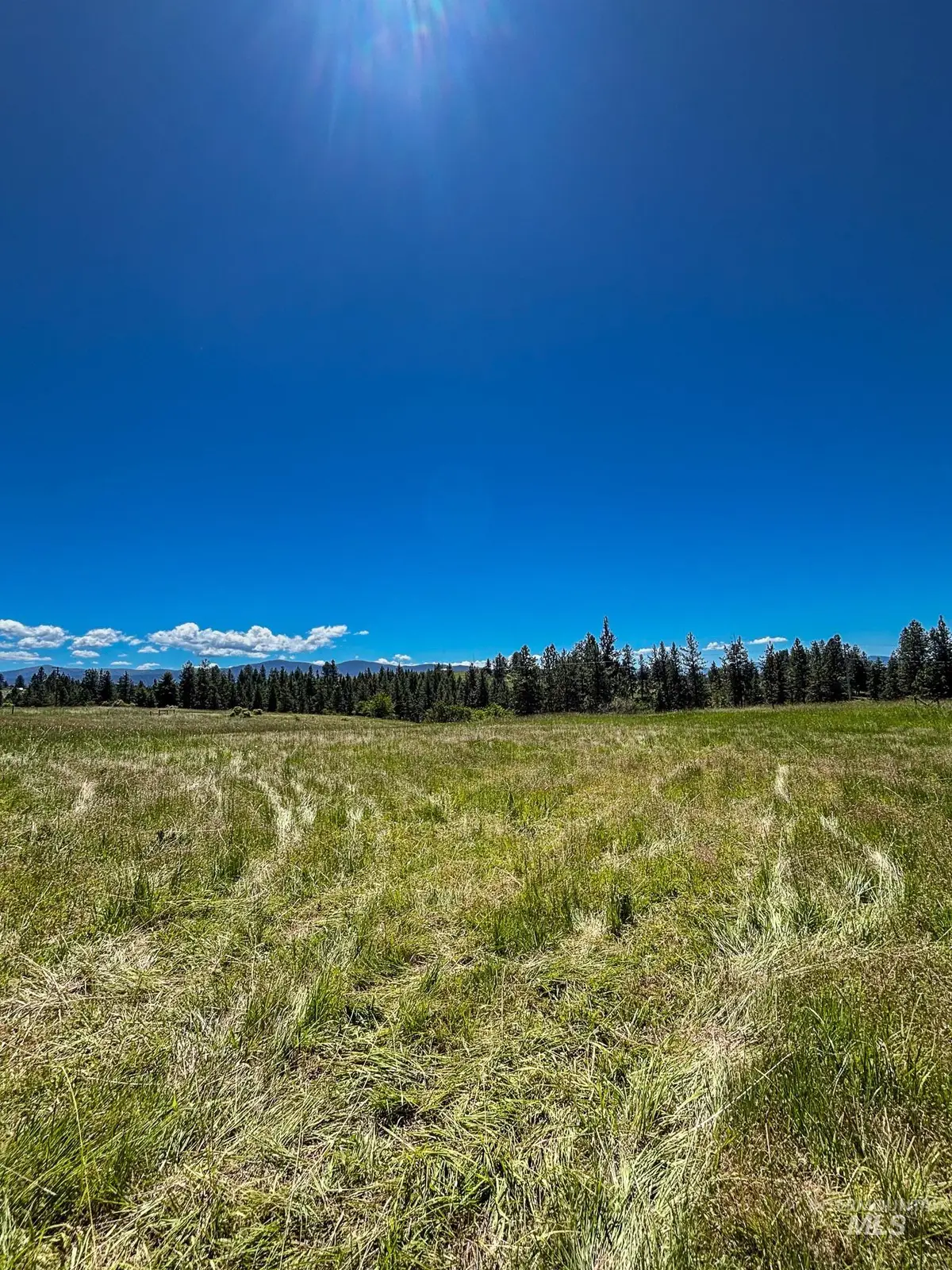 180 Williams Road, Kooskia, ID 83439 - #1
