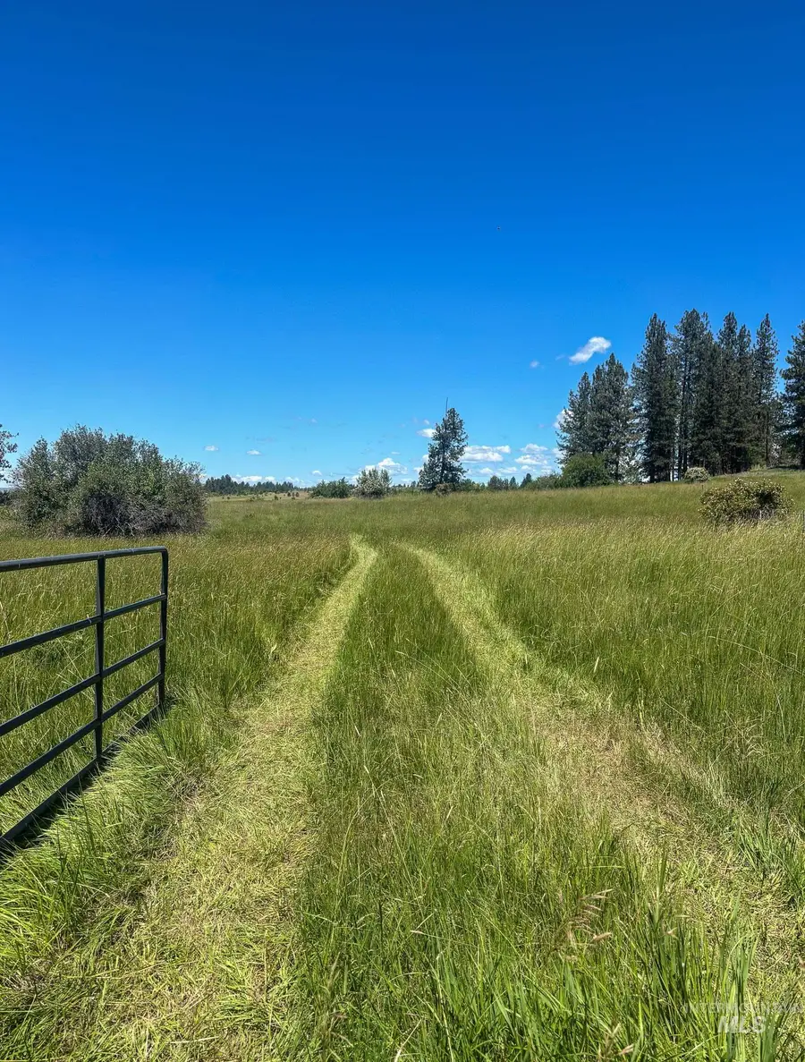 180 Williams Road, Kooskia, ID 83439 - #3