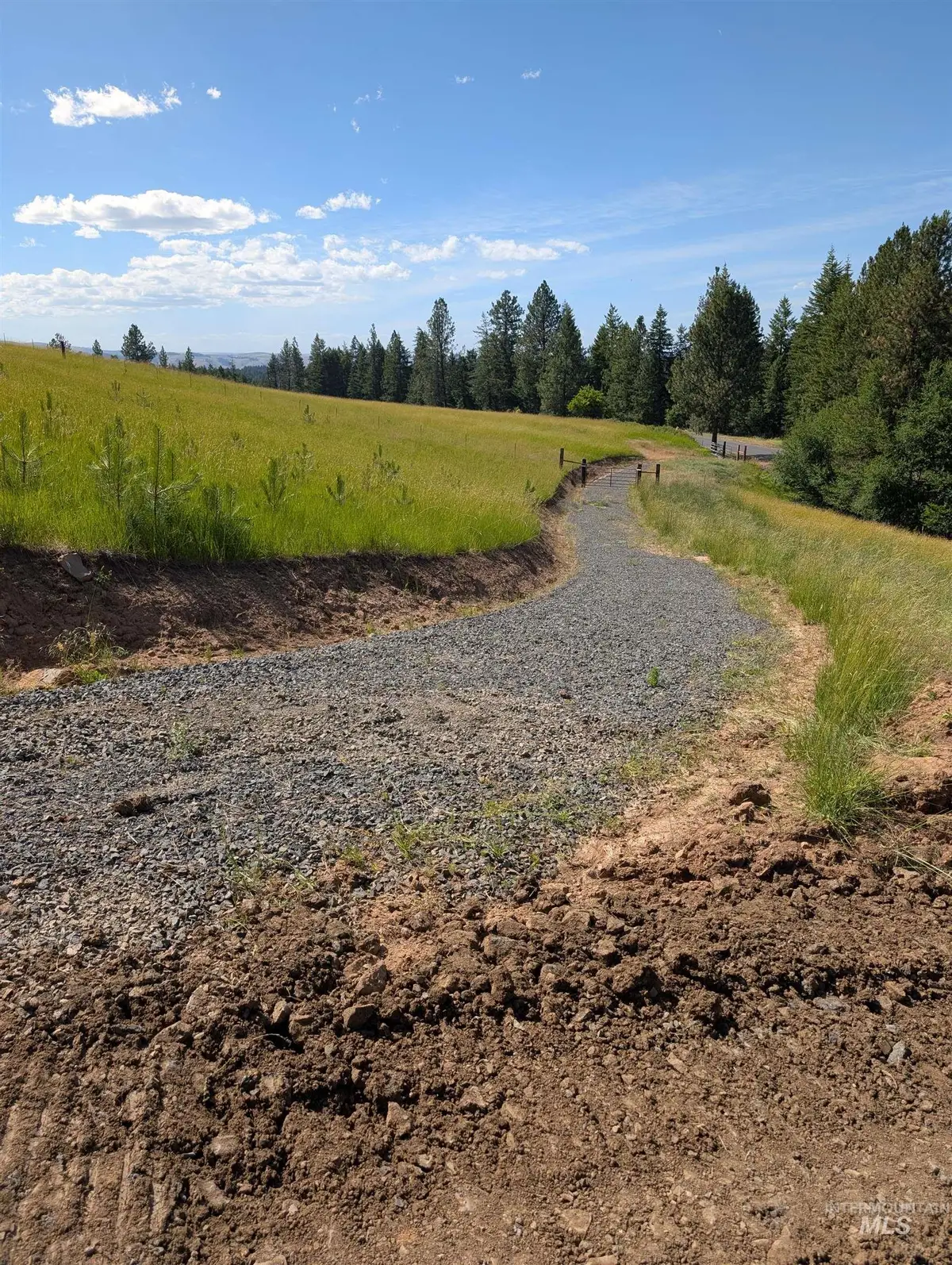 Parcel 13 Red Fir Road, Kooskia, ID 83539 - #1